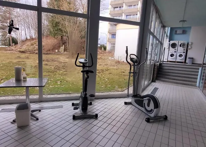 Apartment Maria Altreichenau Neureichenau